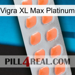 Vigra Xl Max Platinum 26